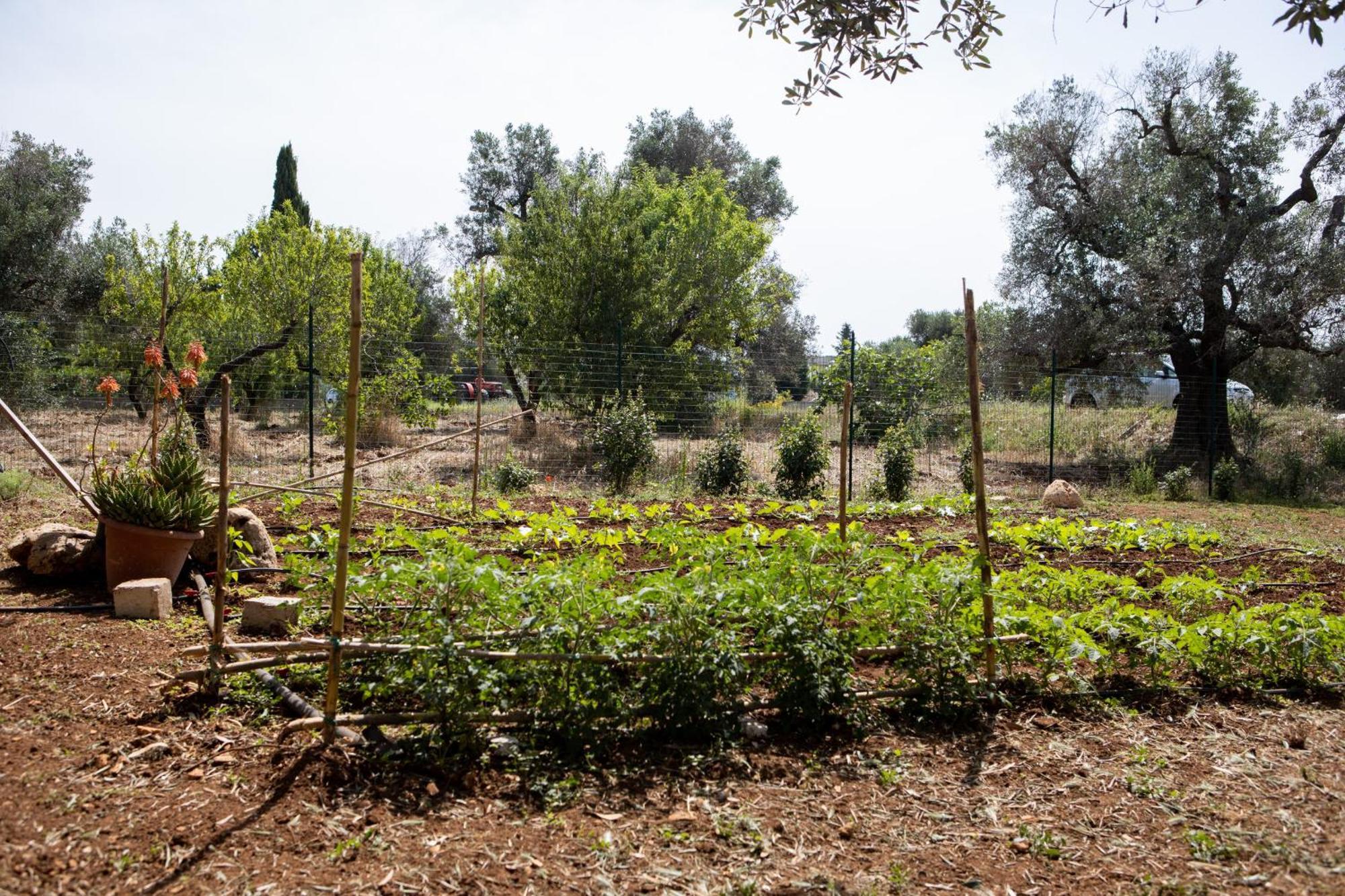 Villa Trullo Nonna Netta Con Piscina Idromassaggio E Area Giochi à Ceglie Messapica Extérieur photo